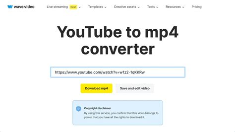 pornone to mp4|YouTube to MP4 Converter